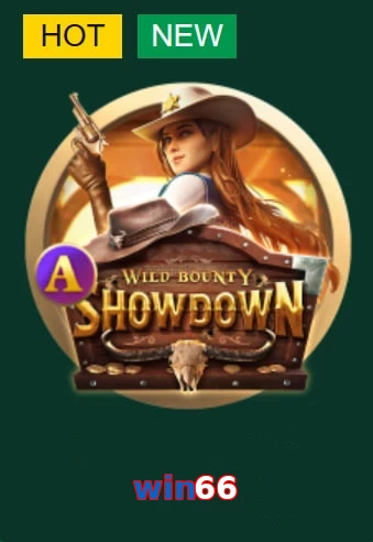 win66